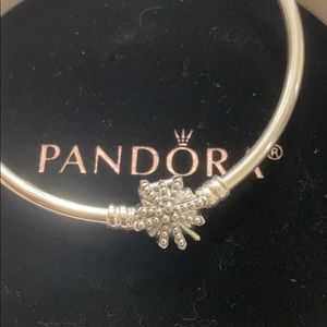 Pandora Bangle Bracelet! 💕🥰